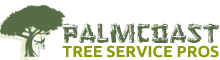 Palm Bay Tree Services Pros